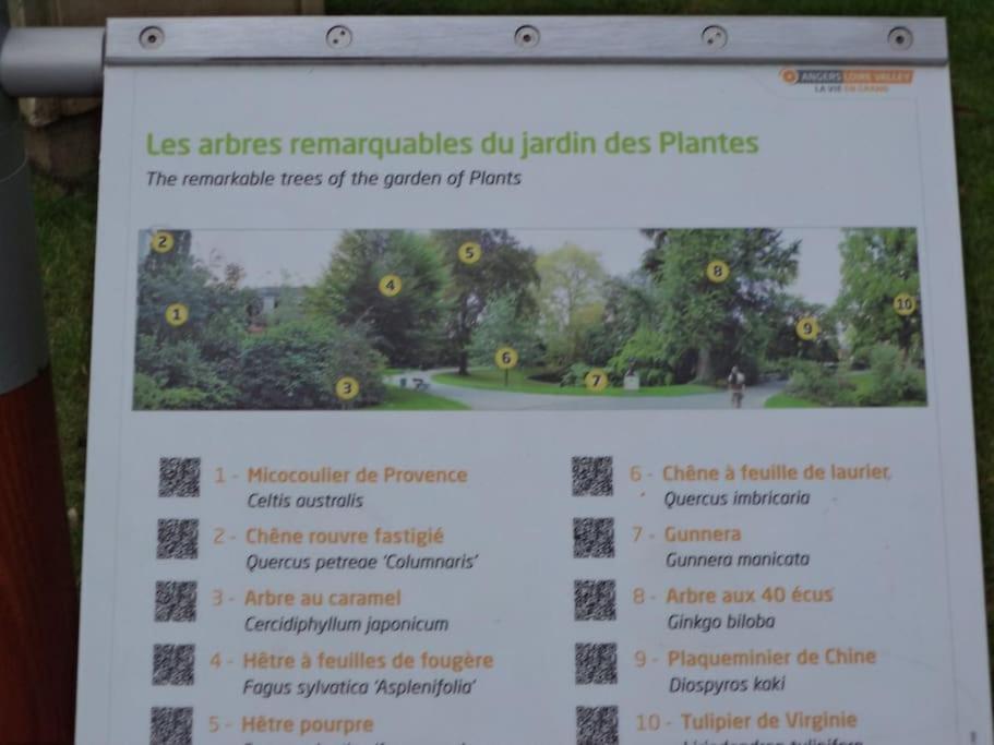 La Bergerie Angers Centre Ville Dış mekan fotoğraf